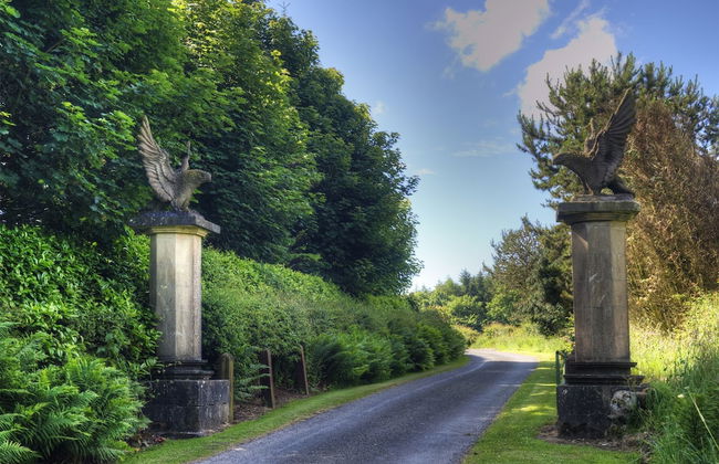 Cutlar's Lodge - Foto 18