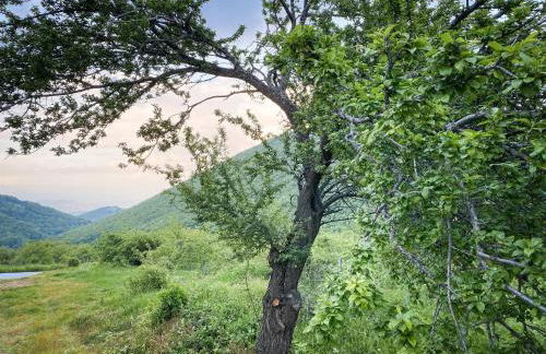 Villa Arcturia - Foto 27