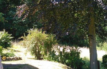 Bungalow am Werratal Radwanderweg - Foto 20