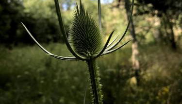 Casa El Encuentro - Turégano Segovia - Foto 5