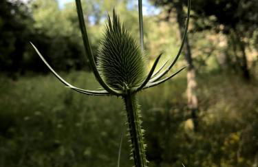 Casa El Encuentro - Turégano Segovia - Foto 5