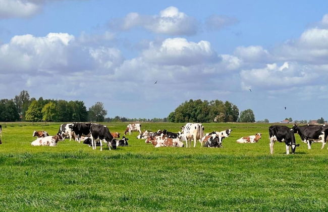 Lakeside Bliss in Friesland - Foto 30