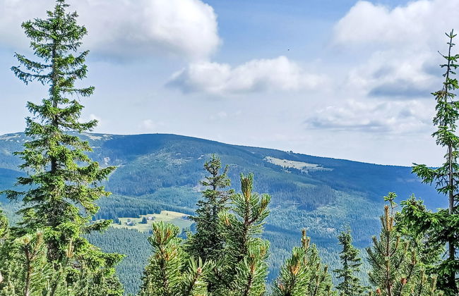 Villa Belvedere - Photo 33