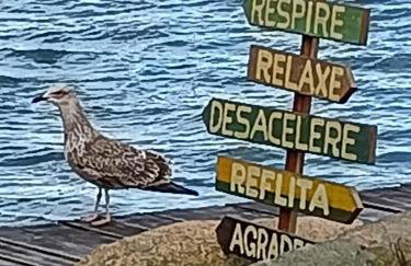 RECANTO DA GRATIDÃO - Foto 17
