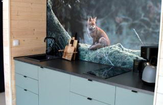 Lisia Górka - domek nad jez. Krosino - Głęboczek, poj Drawskie - Foto 3