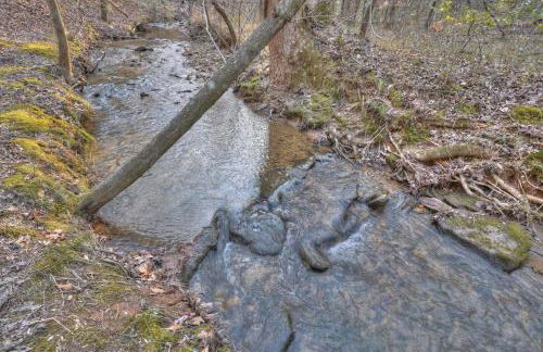 Luxury Cabin Sleeps 8 with creekside fire pit near Helen GA - Foto 47