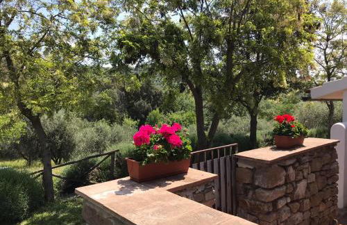 Tenuta Le Mandorlaie, Agriturismo in Scansano - Foto 21