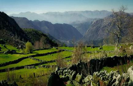 Casa Do Grilo Soajo - Foto 17