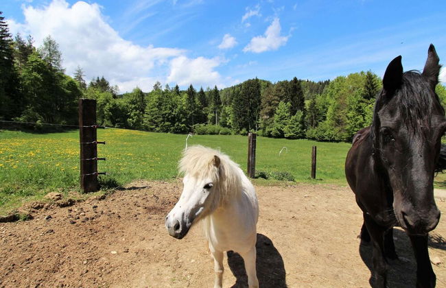 Apartment in Kottmansdorf Near Worthersee - Photo 37