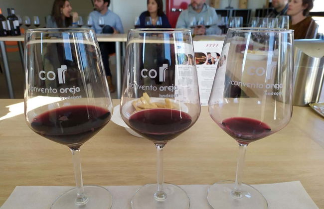 Convento Oreja Winery Visit - Foto 8