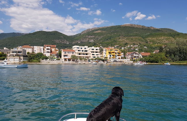 Apartments Tivat Obala - Foto 40