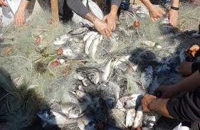 Guest House Adele - Foto 41