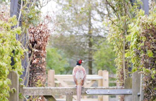 1 Bed in Whitby oc-g0157 - Foto 15