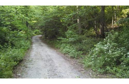 Cabin in the Woods-Peaceful 1BR 20-Acre Rural Retreat-HotTub&WiFi near Asheville - Foto 11