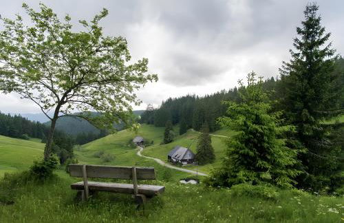 Schwarzwaldglück - Foto 27