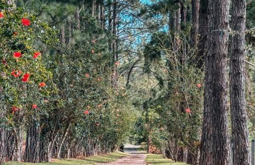 Refúgio Natureza - Lazer completo para sua família - Foto 30
