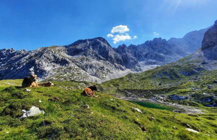 Ferienwohnung Alpspitze - Foto 27
