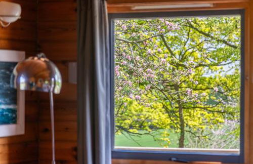 Chalet Lodge 3 Hot Tub by Interhome - Foto 19