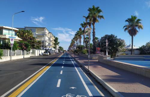 stella marina - Photo 27