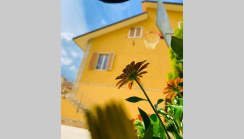 Flowery House - Foto 5