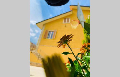 Flowery House - Foto 5