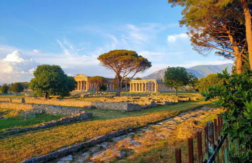 IL GIARDINO DI ATHENA - Foto 9