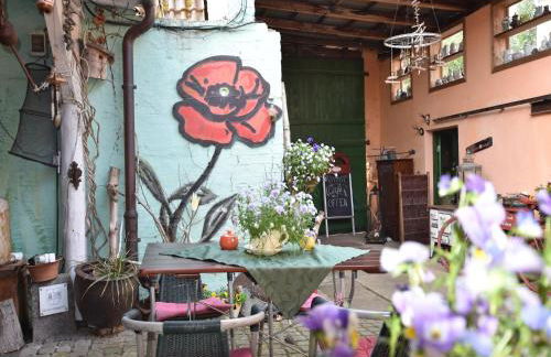 Beautiful Apartment in Damgarten With Garden - Foto 36