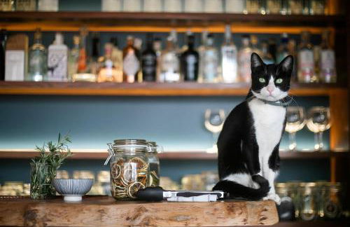 Solar Branco Eco Estate - Photo 79