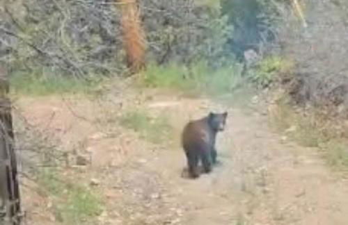 Morrison Colorado Mountain Getaway - Red Rocks - Foto 48