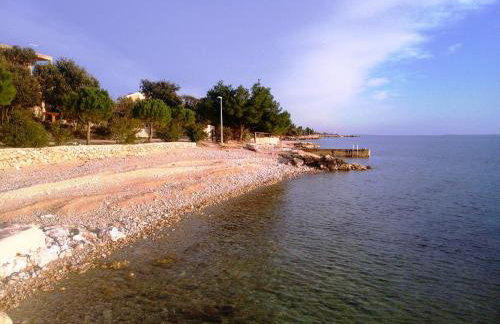 Apartments Dvorski - Photo 26