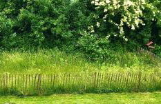 Paradiesje 3 - Foto 19