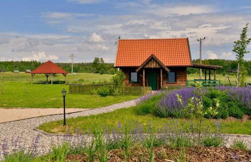 Zielone Ławki - Foto 16