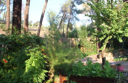 La casita Del Río. - Foto 39