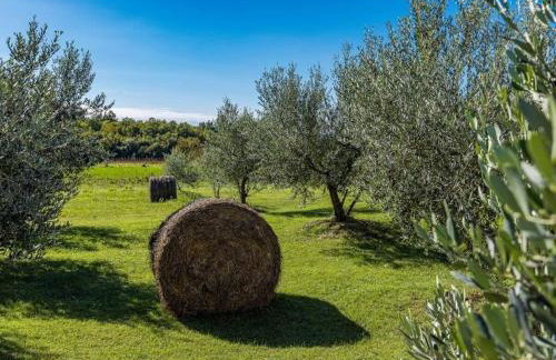 Villa Alka Comfortable holiday residence - Foto 35