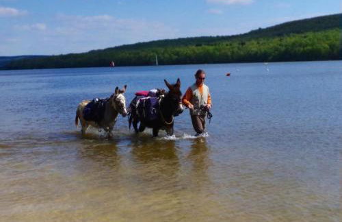 Holiday Home in Grand Est - Foto 12