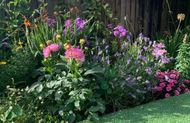 Cinque Ports Snug by Coaste - mins from Sea & Golf Course - Foto 61