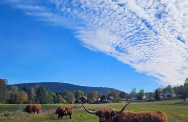 Auszeit zwischen Fellnasen - Foto 24