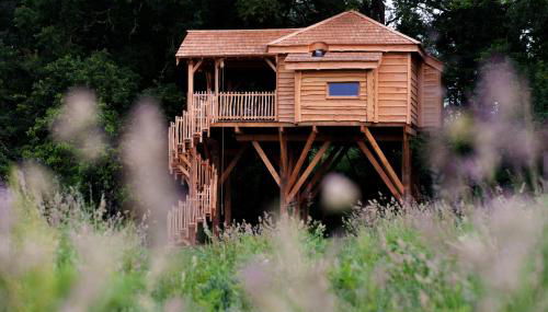 Dihan Evasion - Foto 2