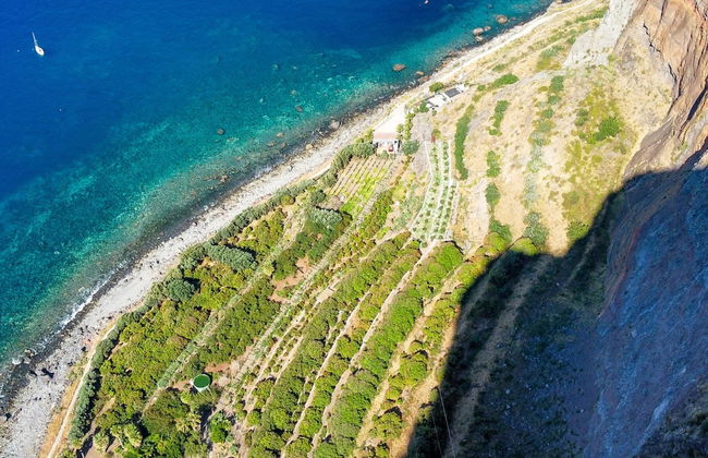 Figueiras House by Atlantic Holiday - Foto 21