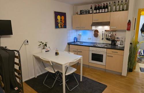 Business-Travel-Apartment & Ferienwohnung Münster, Check-In von 15 bis 22 Uhr möglich - Foto 4