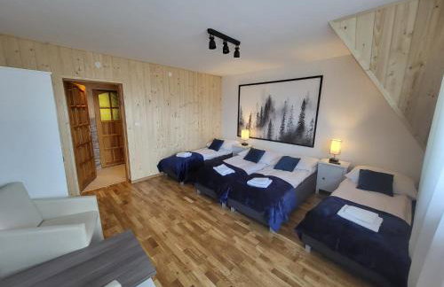 Apartament z widokiem na panoramę Tatr "AppWidokowa9" - Photo 10