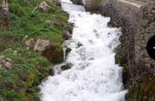 ΟΡΕΙΝΟ ΟΝΕΙΡΟ - Foto 59