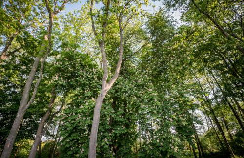 Gutshof Falkenhagen - Foto 22