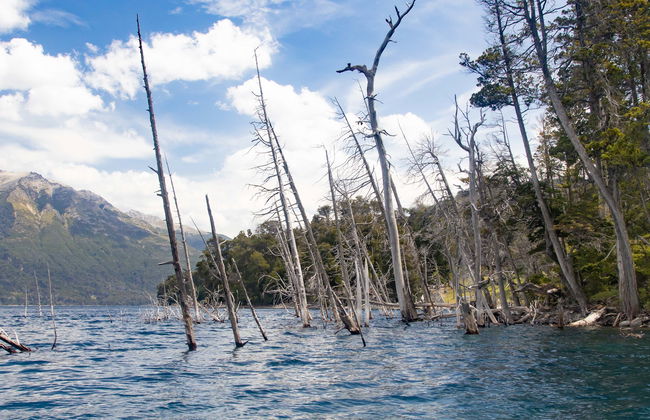 Day Trip to Villa Traful - Foto 8