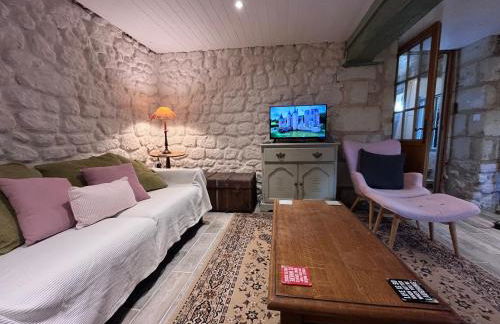 La Bergerie- Beautiful barn conversion in Chinon, Loire Valley - Foto 11