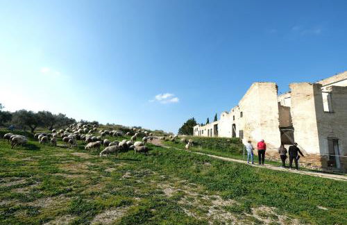 Masseria Sant'Agapito - Foto 66