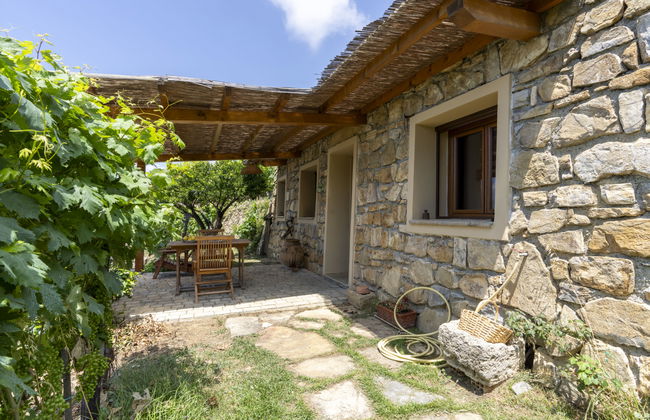 1 bedroom House in Vallebona with garden and terrace - Photo 4