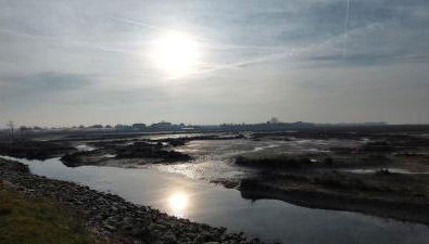 Ca' SVIZZERO - Foto 3