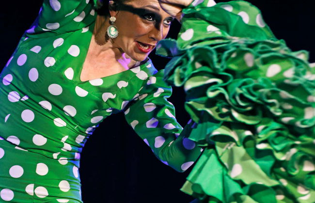 Espectáculo flamenco en el tablao Alma - Foto 10