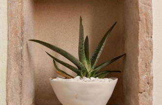 Residenza i Platani - Foto 32